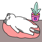 ����֮è����1.0.4���°�