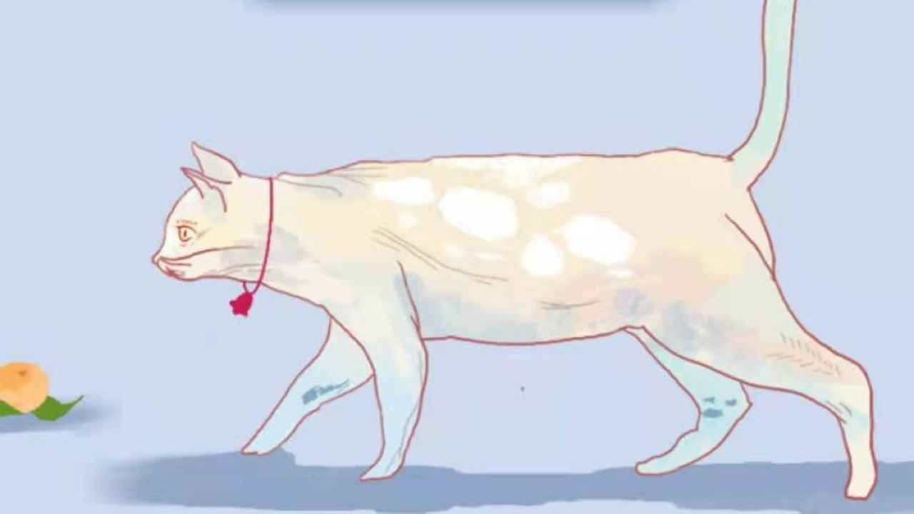 ���ܵ�è����1.0��׿���ͼ1