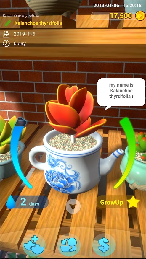 ��̨��԰����