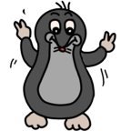 С�����ð���ռ�����0.5���°�