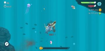 Hungry Shark(ʷʯ)ͼ1