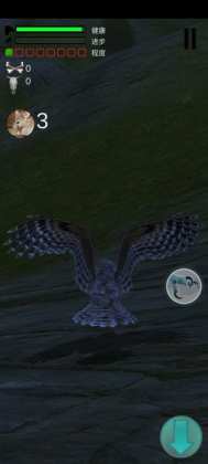 Owl Hunting Journey(èͷӥ����֮������)��ͼ2