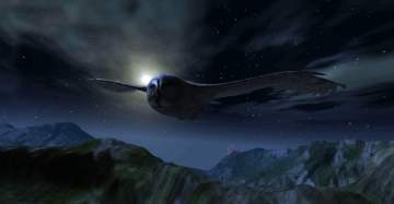 Owl Hunting Journey(èͷӥ����֮������)��ͼ0