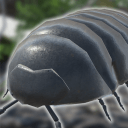 RolyPoly(ԲϷ)1.3.2׿