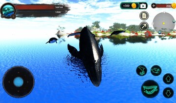 The Humpback Whales(座头鲸手游)预览图