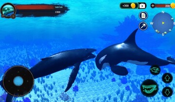 The Humpback Whales(座头鲸手游)预览图