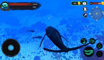 The Humpback Whales(座头鲸手游)预览图