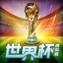 籭ģ2022(wordcup)1.0İ