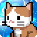 ƽ޻Ұ1.1.47