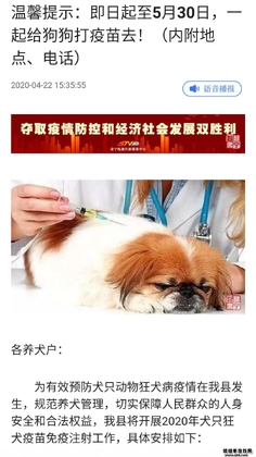 ���������ֻ��ͻ���Ԥ��ͼ