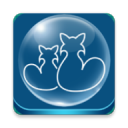 icivet°汾()7.4.0׿