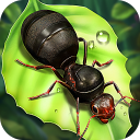 ԰°v1.31.0׿