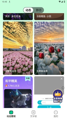 ����ֽ����Ԥ��ͼ