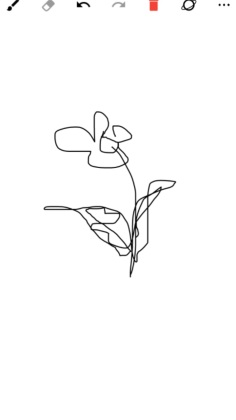 Сapp°ͼ2