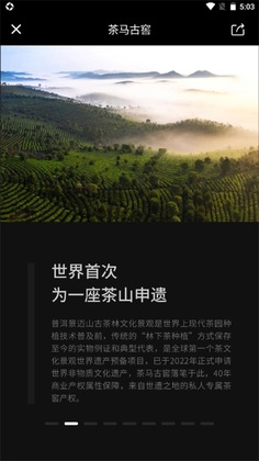 茶马古窖截图2