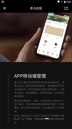 茶马古窖截图3