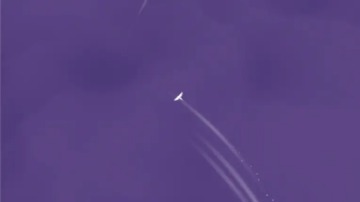 Sky Bird(֮)ͼ2