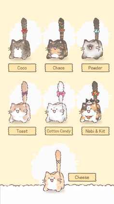 ��è���°�(Pang Cat)Ԥ��ͼ
