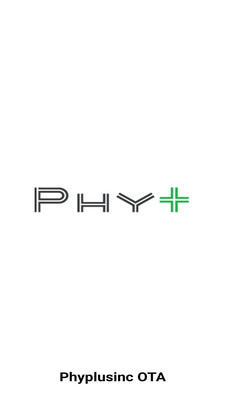 PhyOTAͼ2