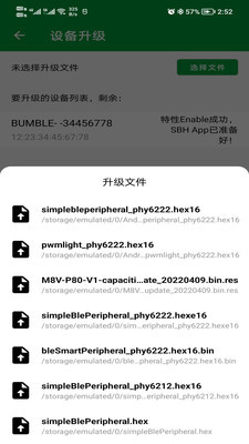 PhyOTAͼ1