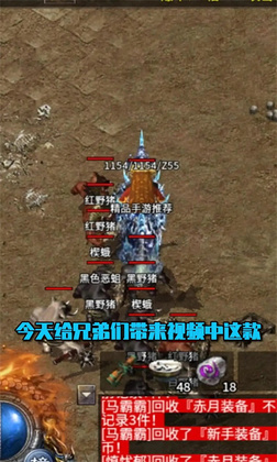 崩拳沉默手游官方版预览图