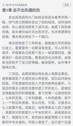 豆腐小说免费版预览图