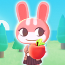 �ϲ�¶Ӫ���°�(Merge Camp)1.42.208��׿��
