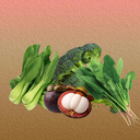 �һ��Ҳ�ͬ���°�1.0��׿��