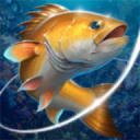 Ϸ(Fishing Hook)2.6.2׿