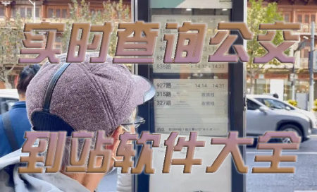实时公交查询app大全-实时查询公交车的app哪个好用-什么app能查看公交实时信息