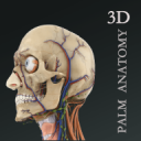 3DѰ2.7.8׿