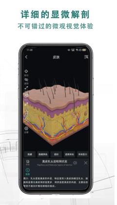3DѰͼ1
