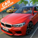 ģM5ֻ(Car Simulator M5)1.65°