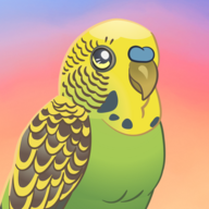 Ϸ°(Bird Kind)