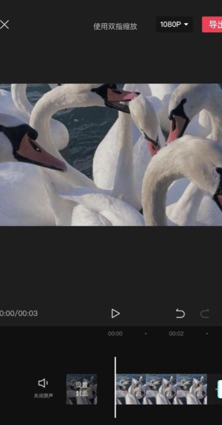 西瓜视频最新版本 西瓜视频最新版本