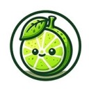 Lime3DSģ׿2119.1ٷ