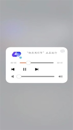 荣耀快应用引擎app截图3