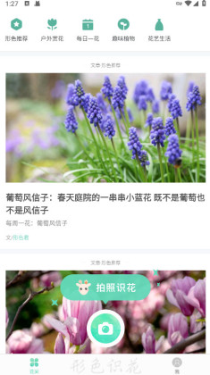 形色识别花草植物截图2