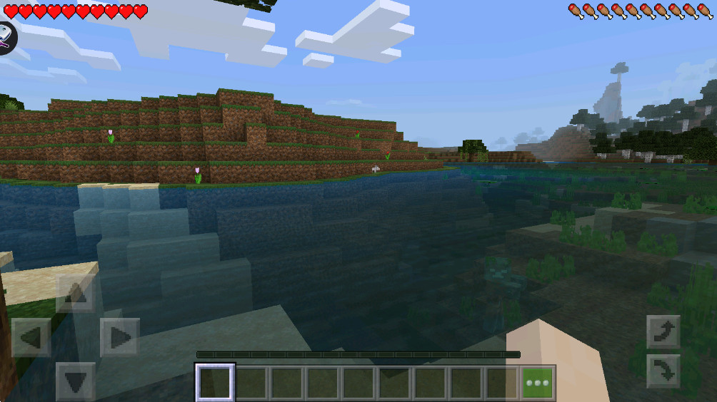 疯狂洛基方块建造家最新版(Crazy Loki)2002手机版截图1