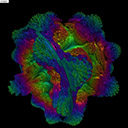 volumeshader bmٷv1.0׿