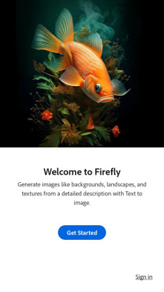 Adobe Fireflyİͼ0