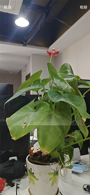 学习强国app官方最新版本 学习强国app官方最新版本