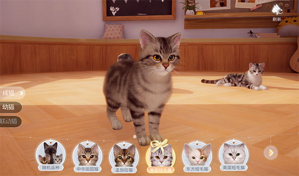 �Һ��ҵ�è�ٷ���1.0.84167��׿���ͼ0