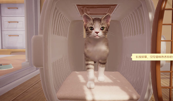 �Һ��ҵ�è�ٷ���1.0.84167��׿���ͼ4