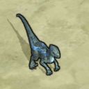 ����������Ϸ1.1.5���°�