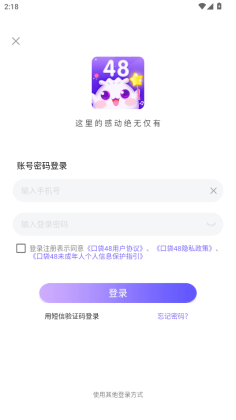 �ڴ�48���°��ͼ3