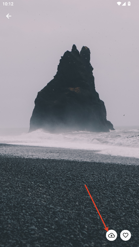 ֽ
