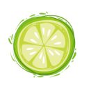 СӰapp1.2.4׿