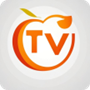 tv°20250519׿