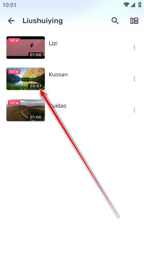 mxרҵ°汾(MX Player Pro)